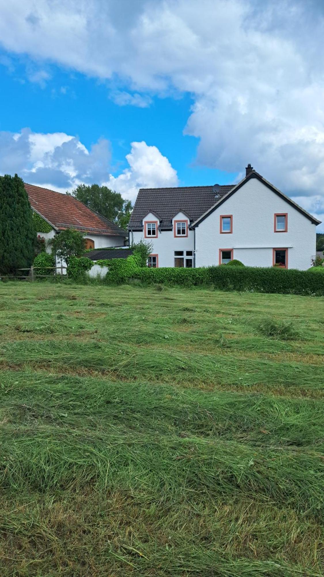 Ferienwohnung Eifelgold Esch Esch  Zewnętrze zdjęcie